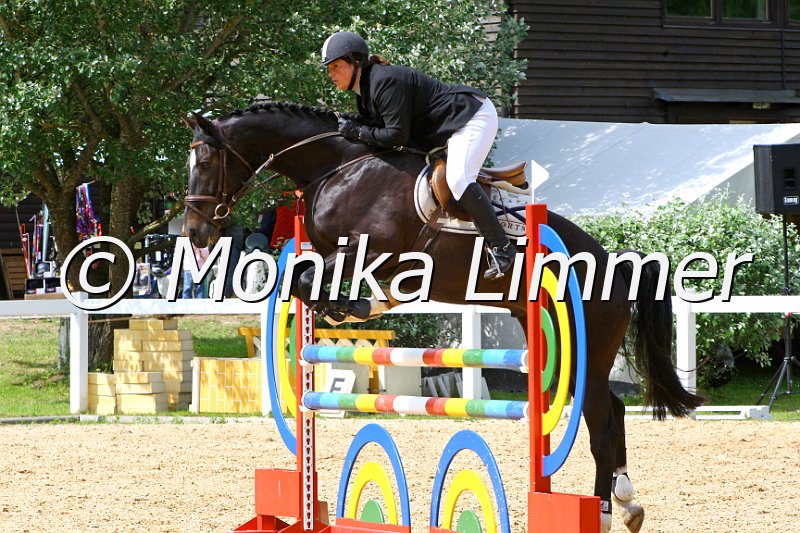 006M6822_Ludwig_Springpferde L_e.JPG